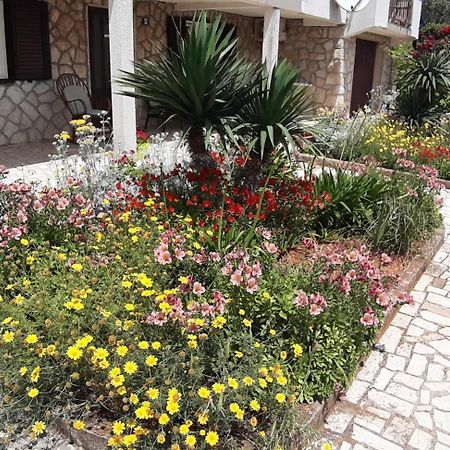Apartmani Ana Đảo Đảo Cres Ngoại thất bức ảnh